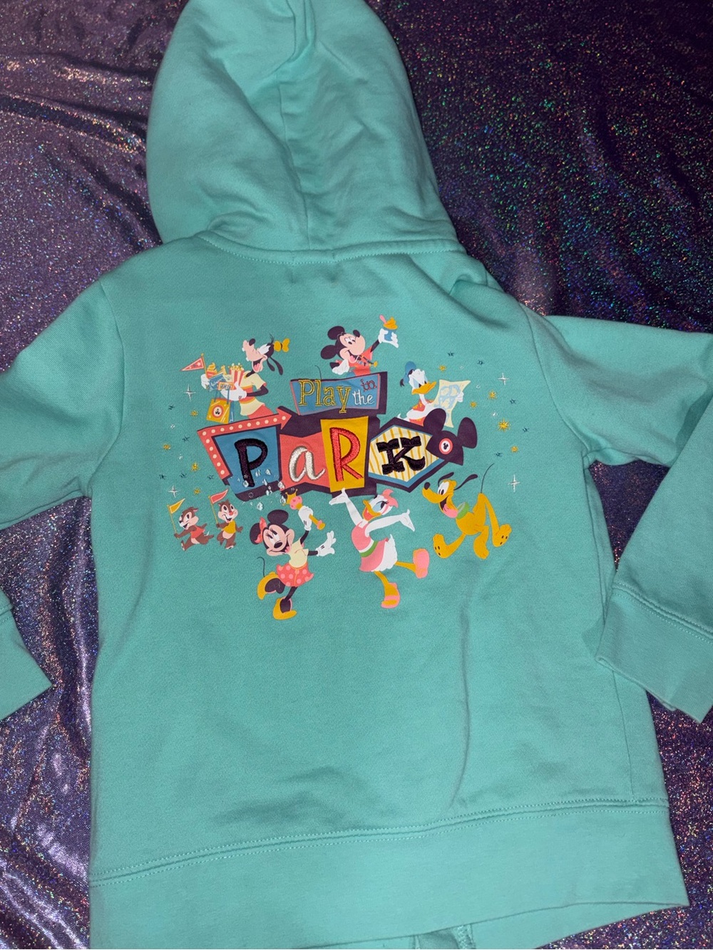 Disney Parks Hoodie